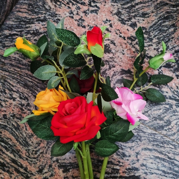 Meet your Posher, Ashley - Picture 8 of 8